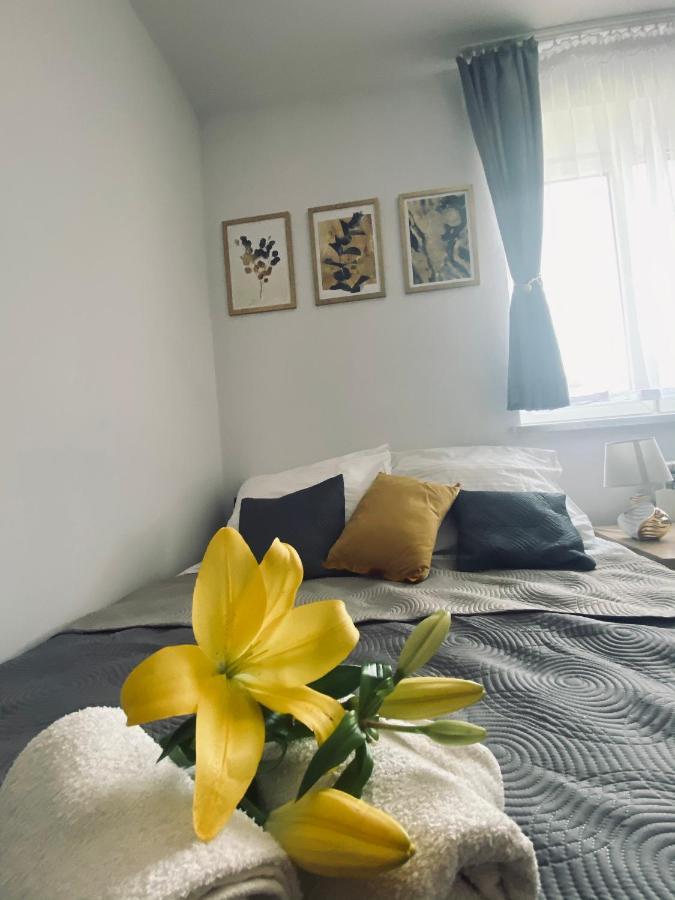 Apartamenty Majka ザトル エクステリア 写真